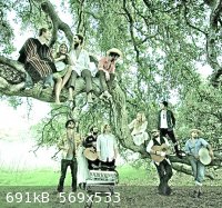 Tree.jpg - 691kB